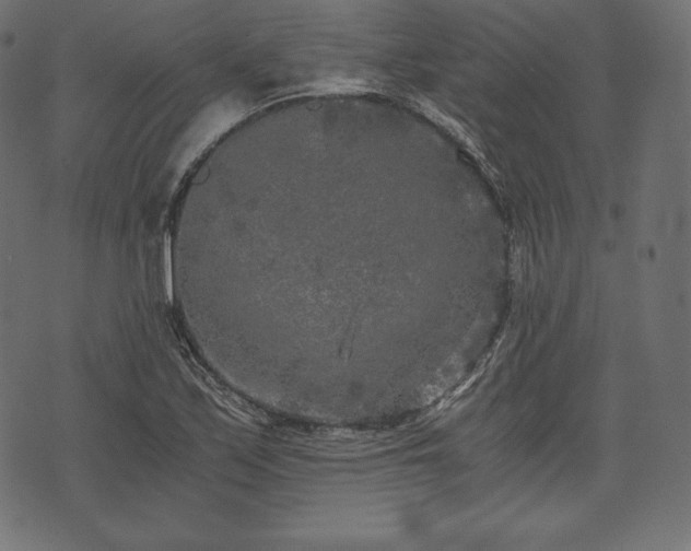 X0000073861171200608170935