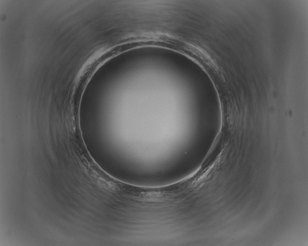 X0000073861172200608170935