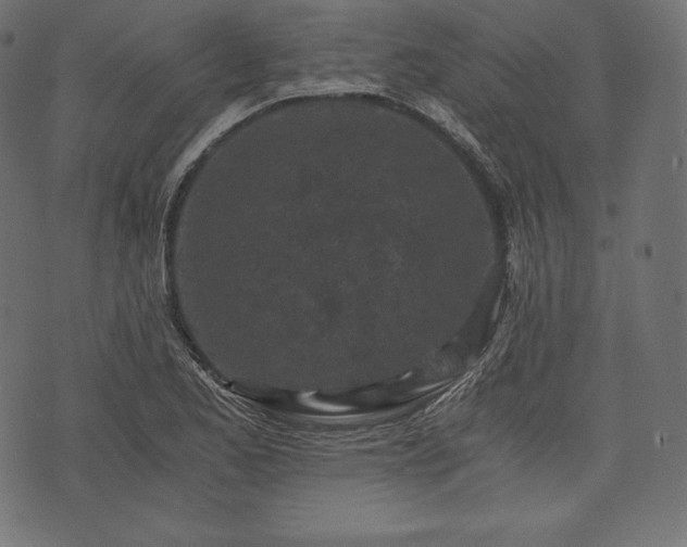 X0000073861173200608170935