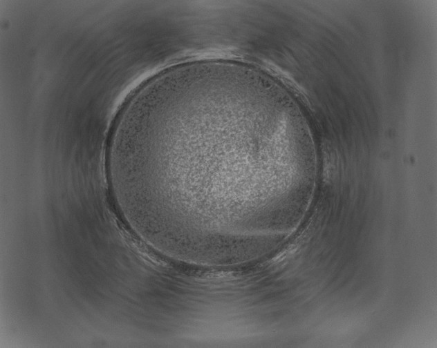 X0000073861174200608170935