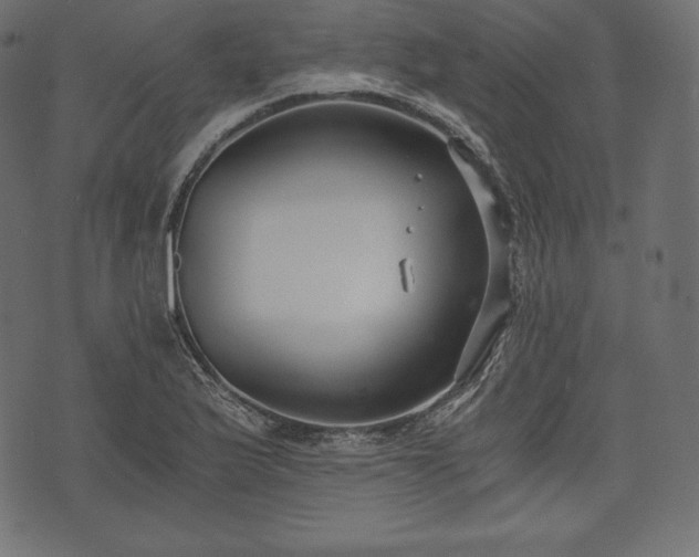 X0000073861175200608170935