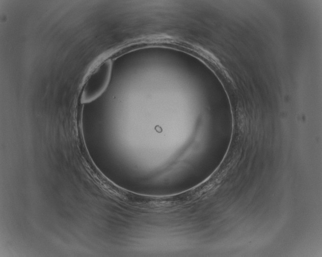 X0000073861176200608170935