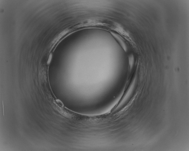 X0000073861177200608170935