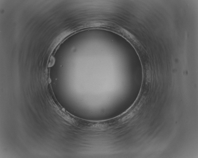 X0000073861178200608170935