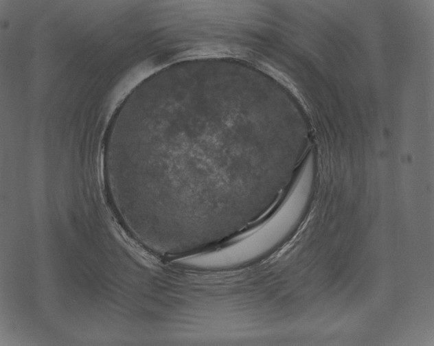 X0000073861179200608170935