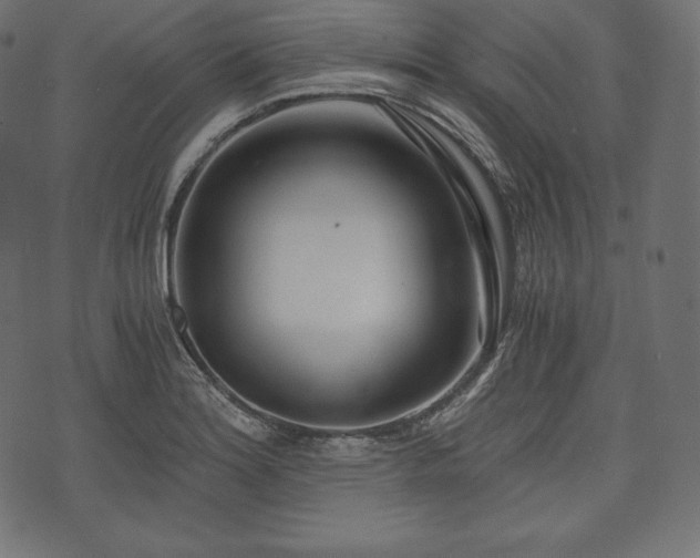 X0000073861180200608170935