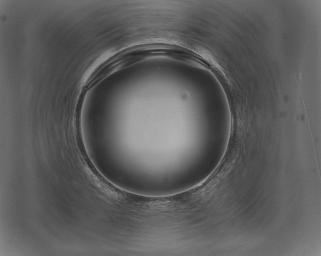 X0000073861181200608170935