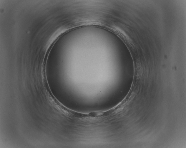 X0000073861182200608170935