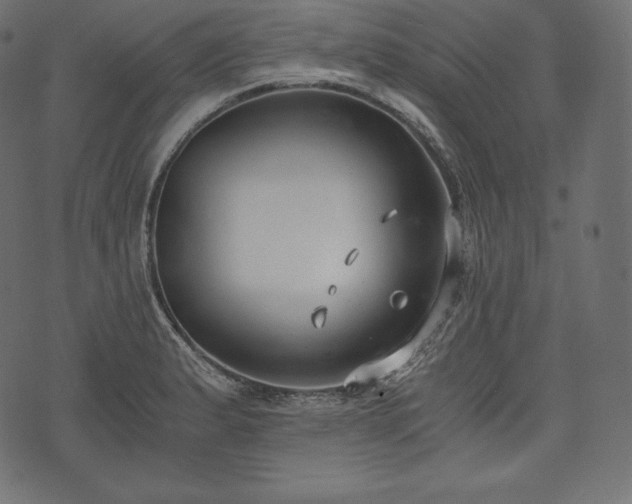 X0000073861183200608170935