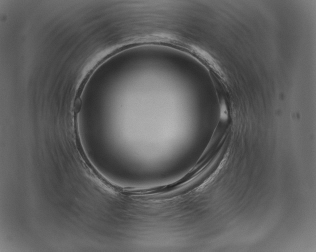 X0000073861184200608170935