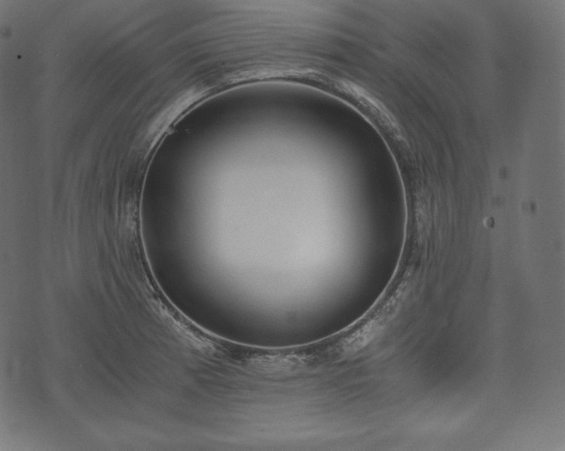 X0000073861185200608170935