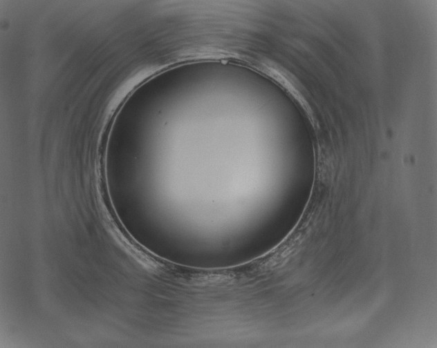 X0000073861187200608170935