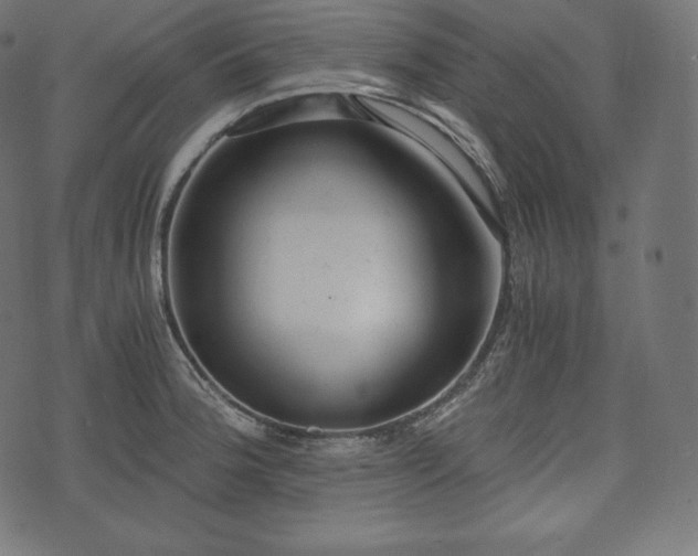 X0000073861188200608170935