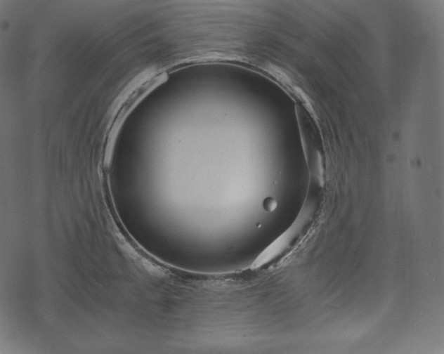 X0000073861189200608170935