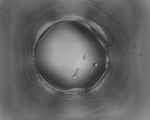 X0000073861192200608170935