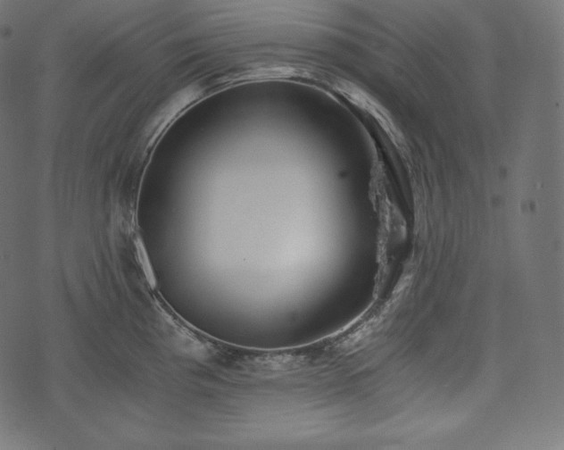 X0000073861193200608170934