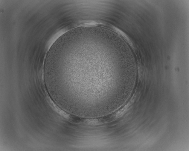 X0000073861194200608170934