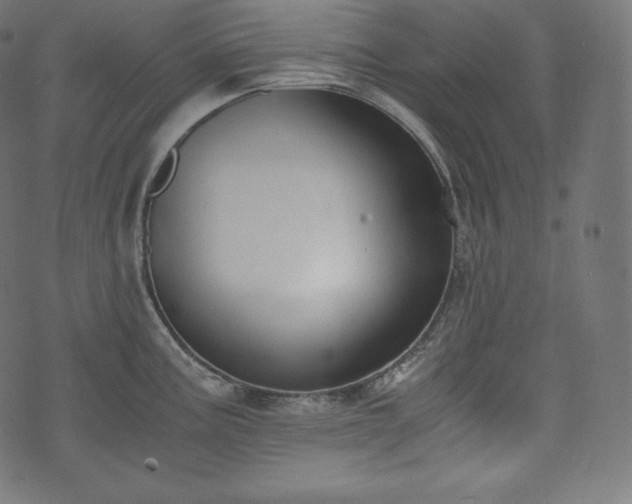 X0000073861195200608170934