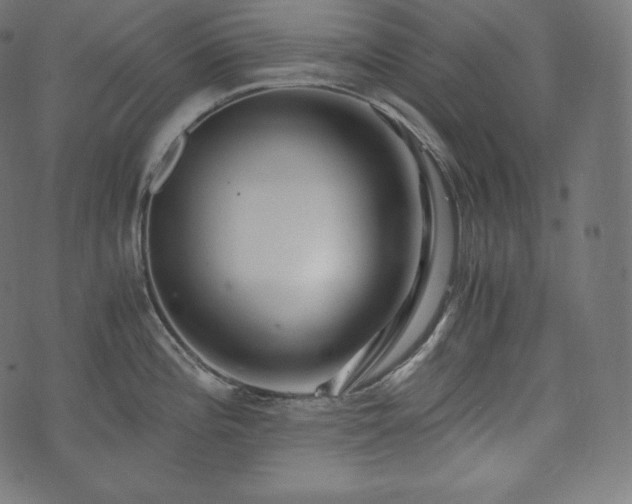 X0000073861196200608170934