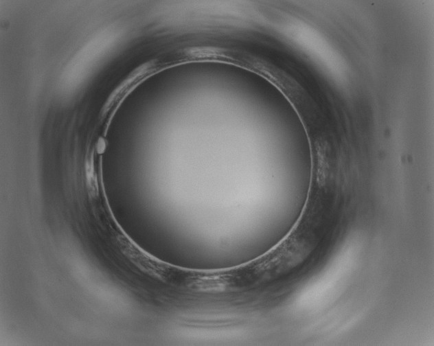 X0000073861198200608170934