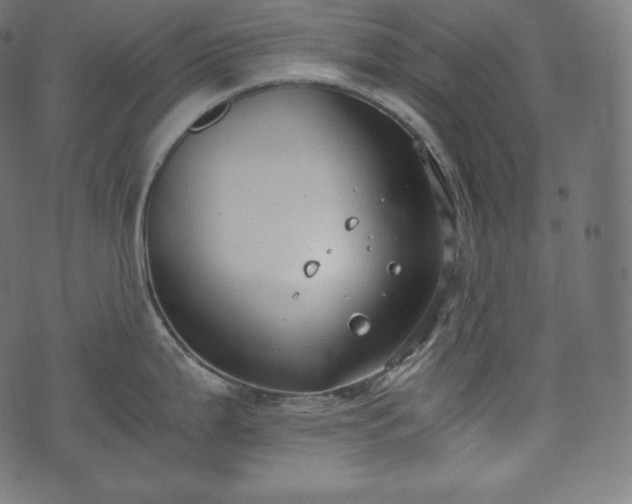 X0000073861199200608170934