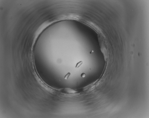 X0000073861200200608170934