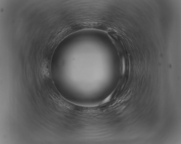 X0000073861202200608170934