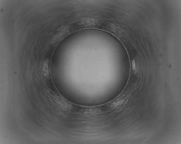 X0000073861203200608170934