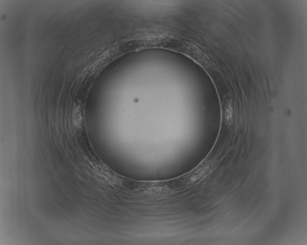 X0000073861204200608170934