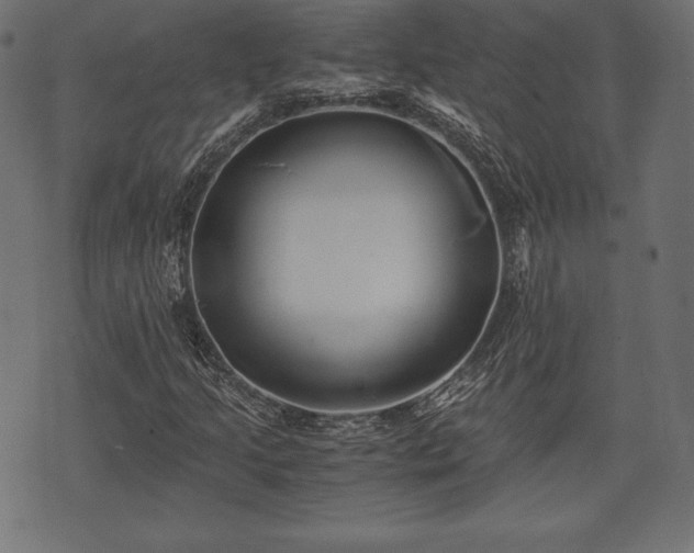 X0000073861205200608170934