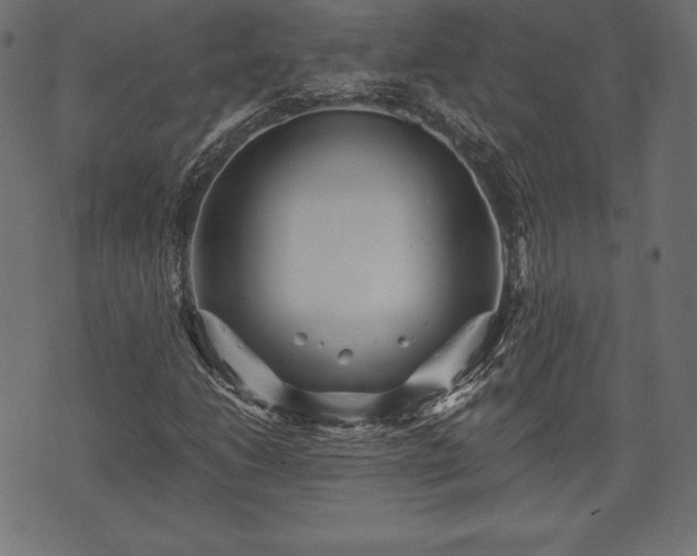 X0000073861206200608170934