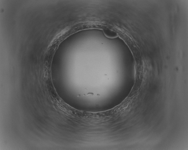 X0000073861207200608170934