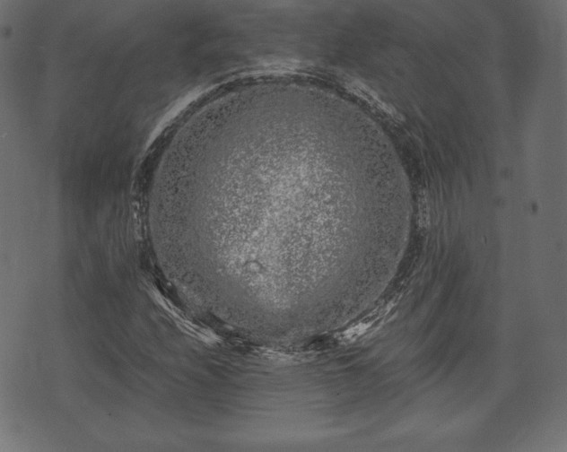 X0000073861208200608170934