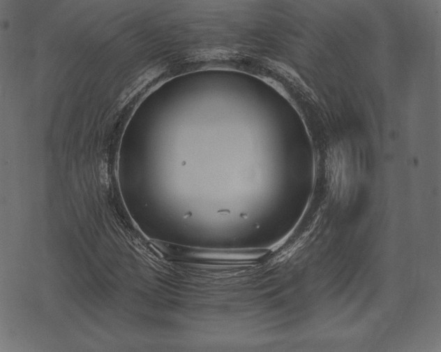 X0000073861209200608170934