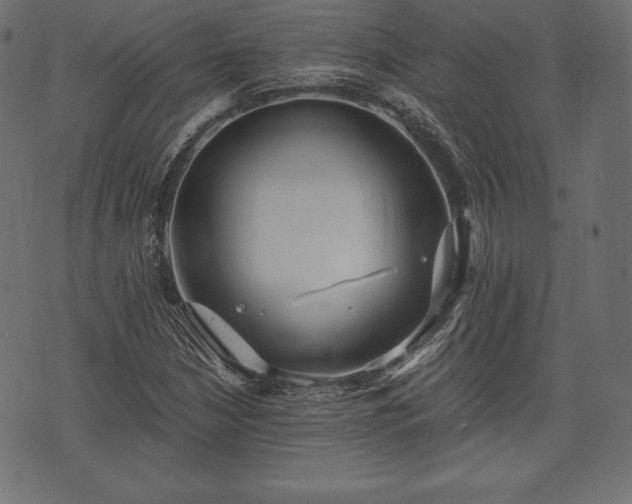 X0000073861210200608170934