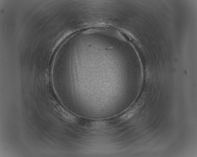 X0000073861212200608170934