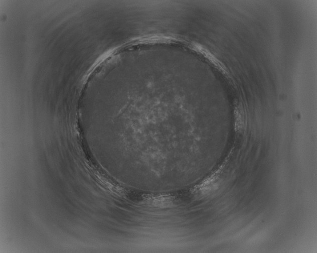 X0000073861213200608170934