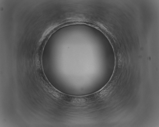 X0000073861215200608170934