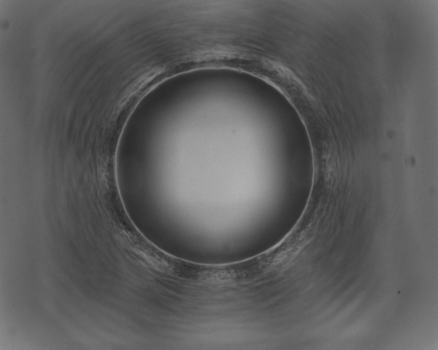 X0000073861217200608170934