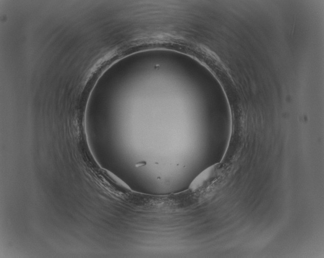 X0000073861218200608170934