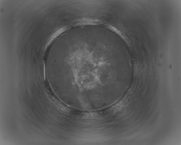 X0000073861219200608170934