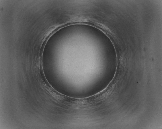 X0000073861220200608170934