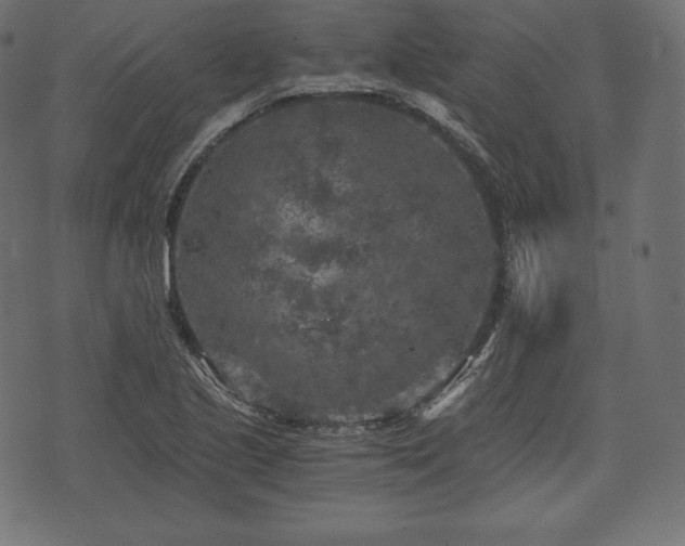 X0000073861221200608170934