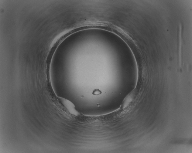 X0000073861222200608170934