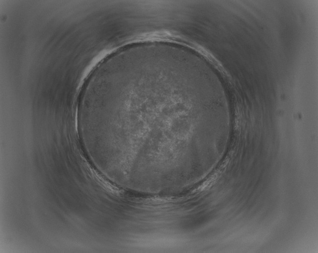 X0000073861224200608170934