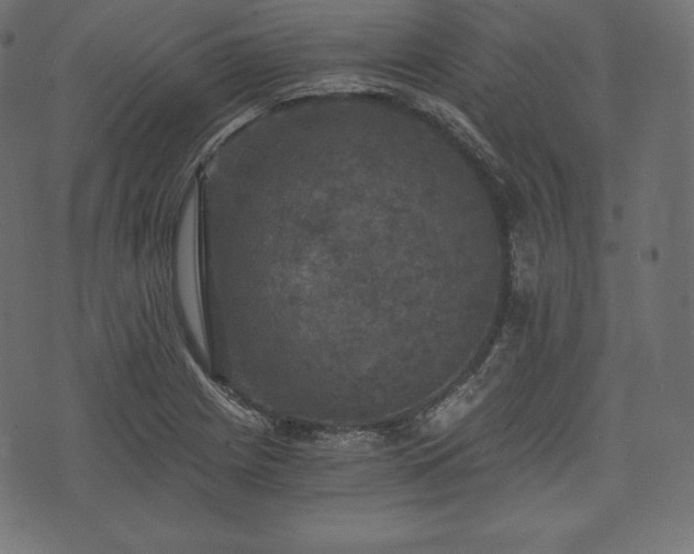 X0000073861225200608170934