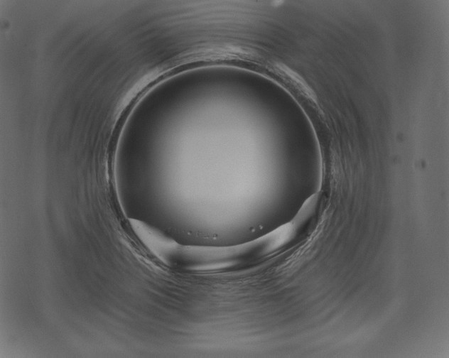 X0000073861226200608170934