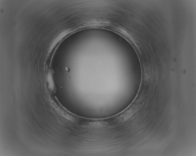 X0000073861227200608170934