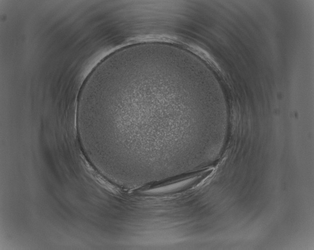 X0000073861228200608170934