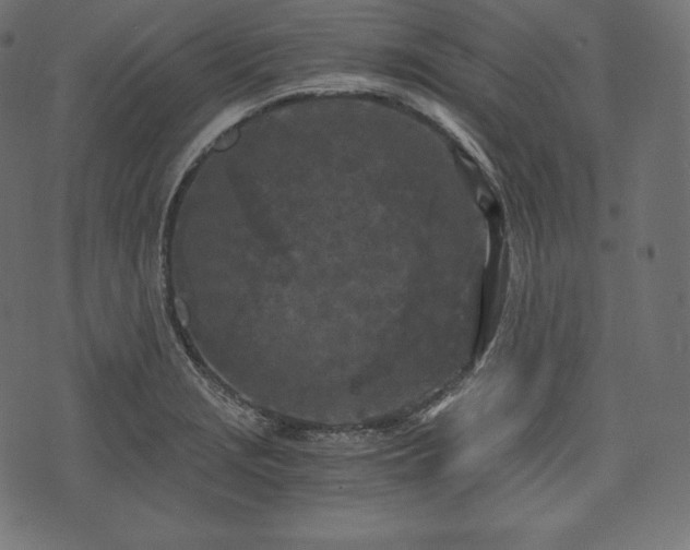 X0000073861229200608170934